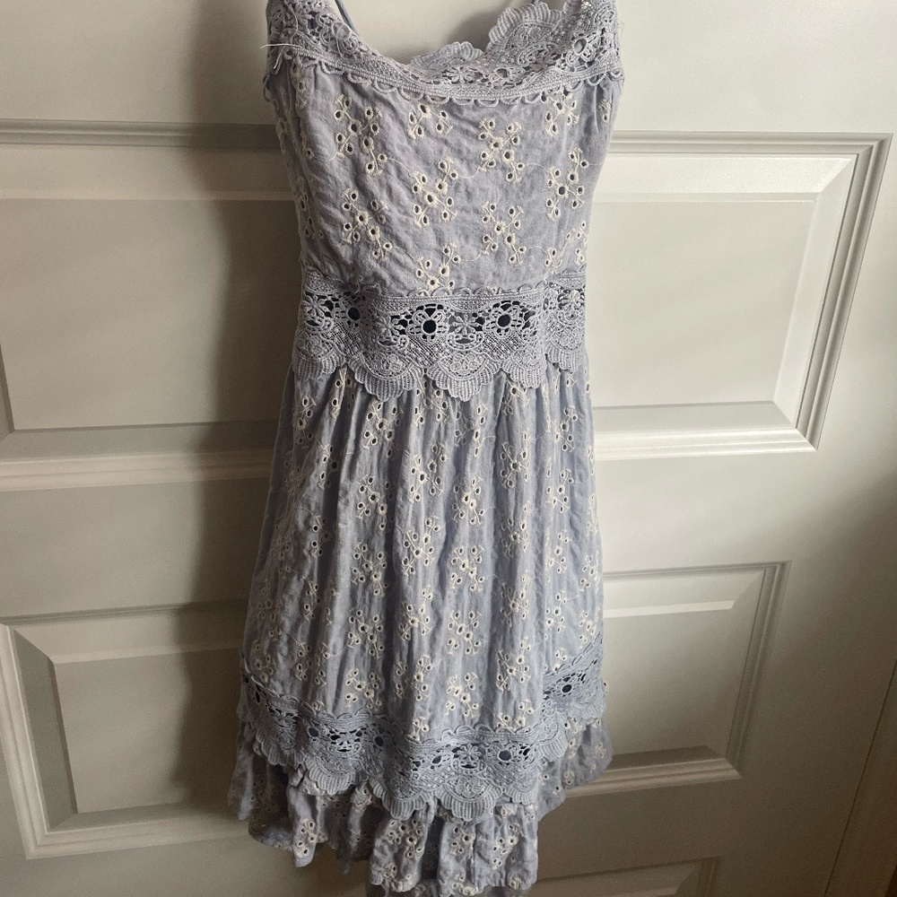 Olivaceous Blue Dress